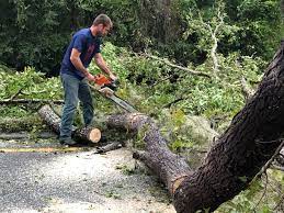 Mulching Services in Baldwin, FL